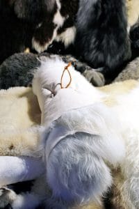 fårskinn