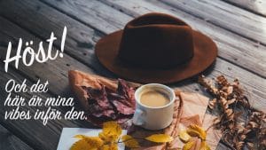 babyitscoldoutside julblogg, höstbild med hatt, kaffe och löv